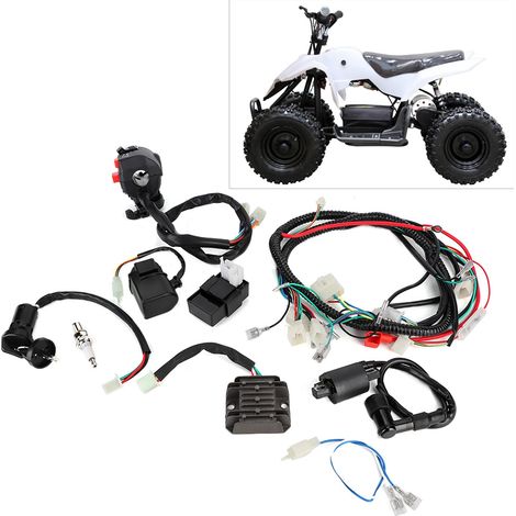 Elektrischer Kabelbaum mit CDI-Einheit für ATV/Quad 200-300 cm³ (1/5)