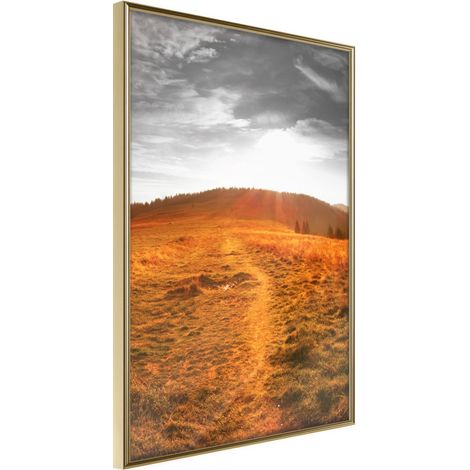 Affiche Murale Encadrée "Prairie" 30 x 42 cm Or