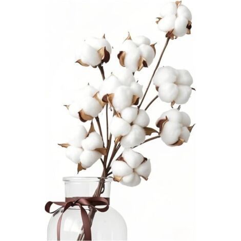 10 Natural Dried Cotton Flowers + 5 Cotton Head Flowers, Bouquet Dried Cotton Flowers, Cotton Branches, Fake Dried Plants for Balcony, Home, Table, Floral Arrangements, Weddings (1/5)