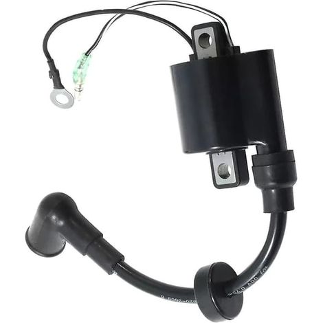 Ecleanfy - Bobine d'allumage pour moteur hors-bord 4 CV 5 CV 6E0-85570-00 6E0-85570-02 5CMHL (1/5)