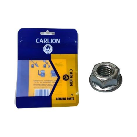 The hexagonal nuts are suitable for the STIHL models FS120, FS200 and FS250 (reference 9220 260 0700).--DTEKGAZ