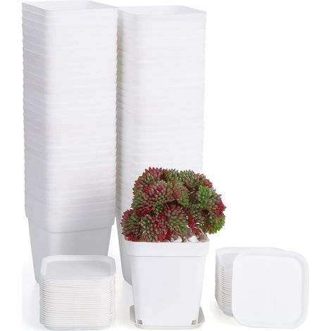 (60 Pièces) Pots de Pépinière en Plastique, 7cm Pots de Plantes Carrés avec Plateaux et Etiquette de Plante, Petits Pots de Fleurs en Plastique (1/4)