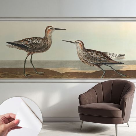 Papier peint autocollant Mural avec colle pour salon et chambre Décoration murale rapide Silhouettes d'oiseaux 250x104 cm (1/5)