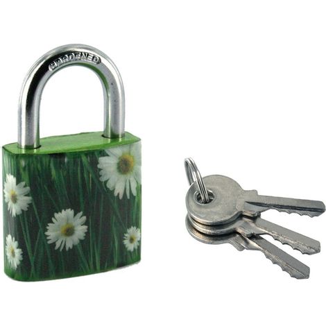 Lucchetto Green Idea Margherite, acciaio, interno, arco in acciaio, 30mm, 2 chiavi - THIRARD