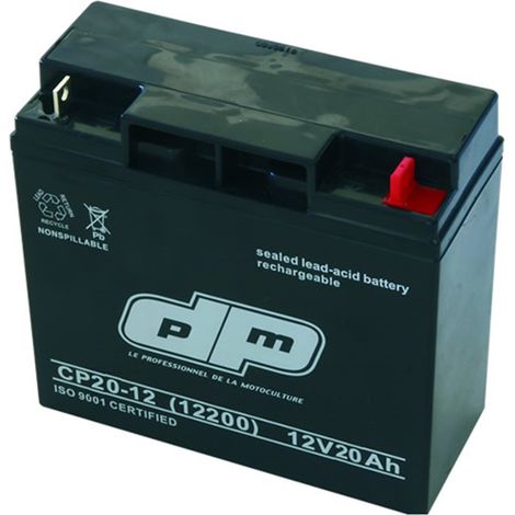 Batterie Tracteur Tondeuse Autoportée NH1220 pour GGP Castelgarden