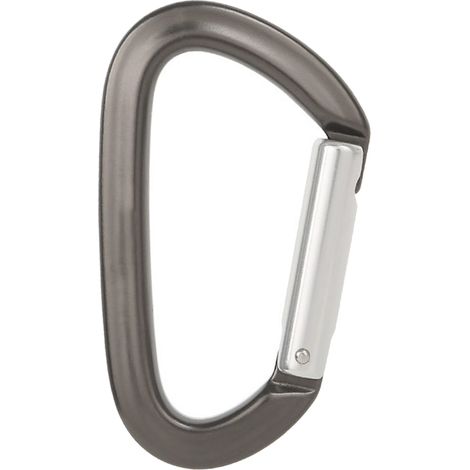 Mousqueton de sécurité pour escalade, en alliage d'aluminium, en forme de D, pour hamac et porte-clés, corps gris, tige argentée, à dégagement rapide (1/5)
