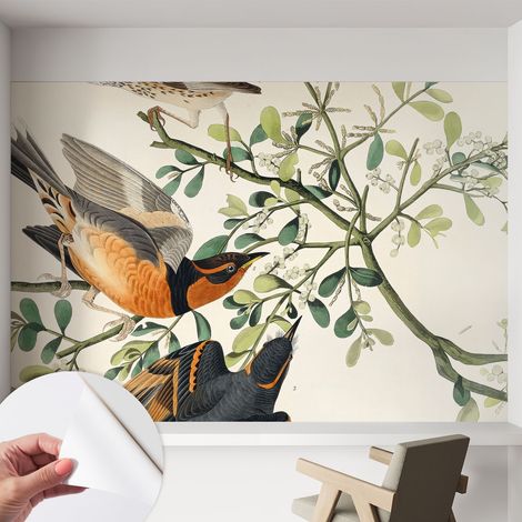 Selbstklebend Tapete - abwaschbar - Raumgestaltung Schlafzimmer Wohnzimmer Tapete Bunte Vögel 152x104 cm (1/5)