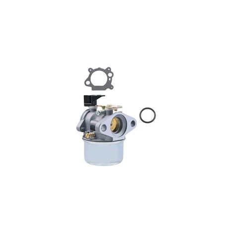 Carburateur Tondeuse Gazon Pièce 498965 494216 493422 494971 Carburateur Remplacement (1/4)