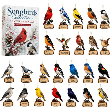Adventskalender mit Singvogelmotiven 2026 – 24-teilig – mehrfarbig – Acryl – 8 cm flache Hängeornamente – verschiedene Singvogelmotive – Christbaumschmuck – geeignet für Weihnachten und als Dekoration (1/5)