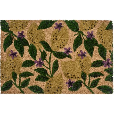 Felpudo moderno para interior y exterior 40 x 60 cm motivo limones de fibra de coco dorso de PVC antideslizante multicolor Tazlina