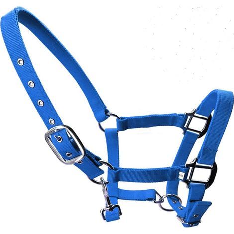 verstellbares Nylonhalfter mit Messingschnallen und doppellagigem Riemen für Fohlen, Ponys und Esel (1/4)