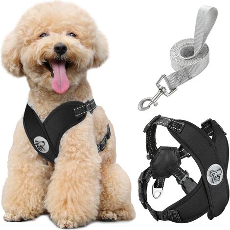 Harnais pour Chiens avec Laisse, Harnais Sécurisé Anti-Traction (1/5)