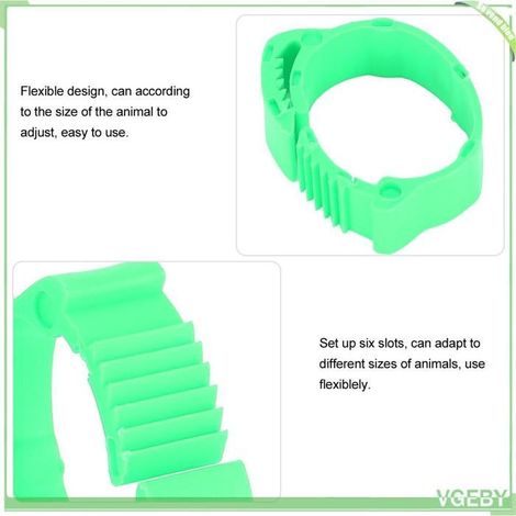 Anneaux de patte poules/canards - FAFEICY - 100 pcs - Vert - Plastique non toxique - Numérotés (1/5)