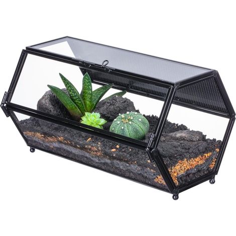 20x12x10,8 cm Mini Hexagonale Terrarium en Verre avec Maille et Porte pour Araignées Sautantes, Habitat pour Petits Insectes et Plantes (Plantes et Accessoires Non Inclus) (1/5)