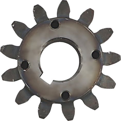 Roue dentée cylindrique pour arracheuse de pommes de terre Anna (1/3)
