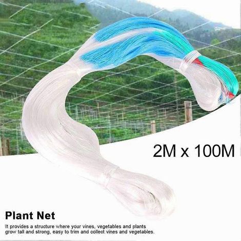 Filet de support pour plantes grimpantes 2 m x 100 m, treillis pour arbres fruitiers, filet de protection, support pour plantes grimpantes, filet pour pois, outils de plantation (1/5)