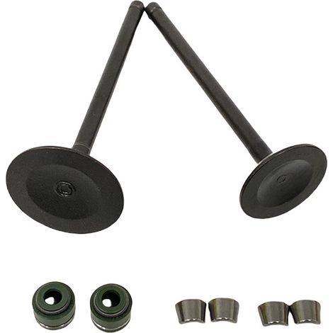 Valve stem seals, compatible with valve retaining clips on the Suzuki models GS200, DR200, QM200GY and GXT200.