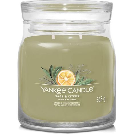 CANDELA VETRO SALVIA/CITR..368G (1/3)