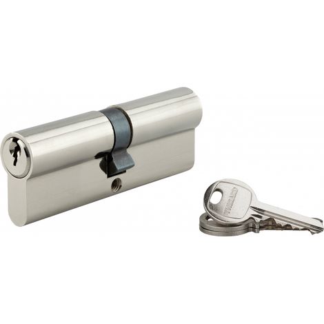 Cylindre de serrure double entrée SA UNIKEY (achetez-en plusieurs, ouvrez avec la même clé), 45x45mm, 3 clés, nickelé - THIRARD