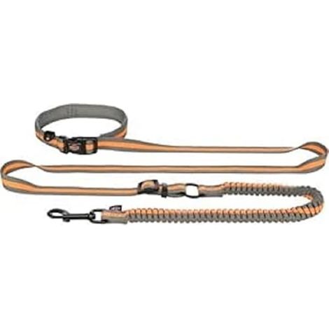 Laisse de jogging pour chien avec ceinture – M-L: 1,33–1,80 m/20mm (1/4)