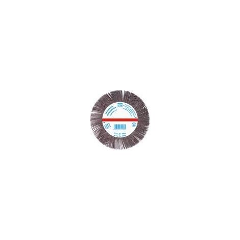 ABANICO ANGULAR FR WS 12520 A60 M14 - PFERD