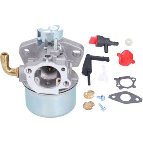 Carburateur Compatible avec Briggs & Stratton 696981 698860 694508 795069 698859 790180 790290 693865 697354 698474 791991 698810 698857 698478 694174 690046 693751 791077 591299-KZQ (1/5)