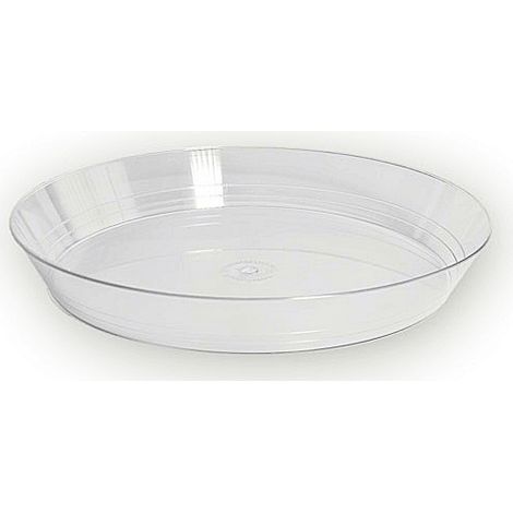 Set 5 Pezzi Vassoio Alimentare Tondo Trasparente Bavarese 22 cm (1/2)