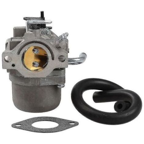 Carburateur Briggs & Stratton 796077, 590399-Online Store (1/2)