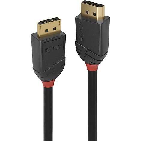 0.5M DISPLAYPORT 2.1 54G CABLE