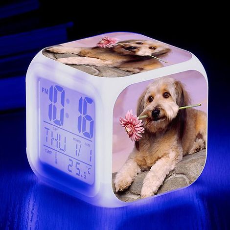 rveil Chiens Image Rveil A Lumire Usb Enfants Led Horloge Dessin Anim Veilleuse Flash 7 Changement De Couleur Horloge Numrique Horloge De Bureau L (1/5)