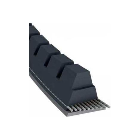 Courroie tondeuse XPZ750 trapézoïdale crantée  9,7 x 762 mm (1/5)