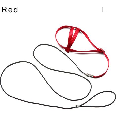 Adaptateur avec pince papillon, support pour anneau lumineux de plongée, tête à rotule et pince pour grip double poignée d'extension pour appareil photo, ouverture à 3 trous (1/4)