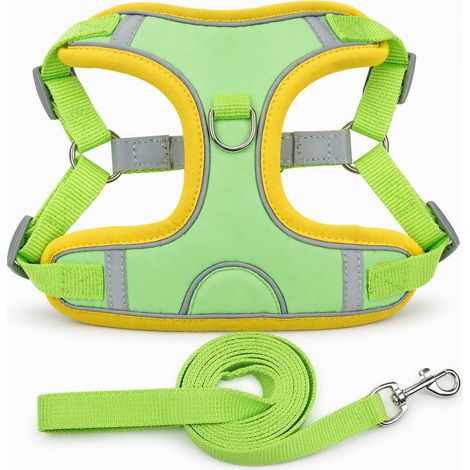 Harnais avec laisse pour chien en suédine souple vert S (1/5)