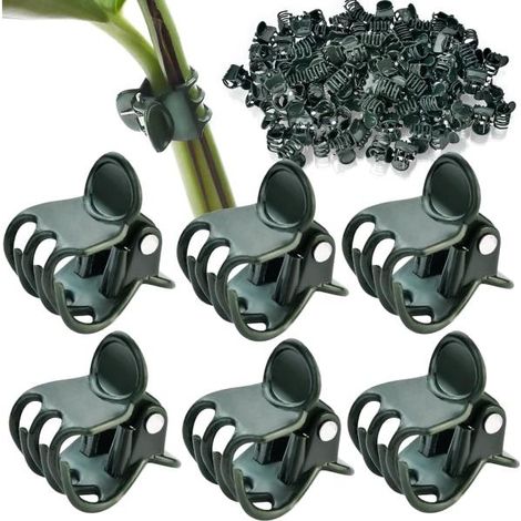 Support pour orchidées, tiges florales et plantes grimpantes, leur permettant de pousser verticalement. - AquaForge (1/5)