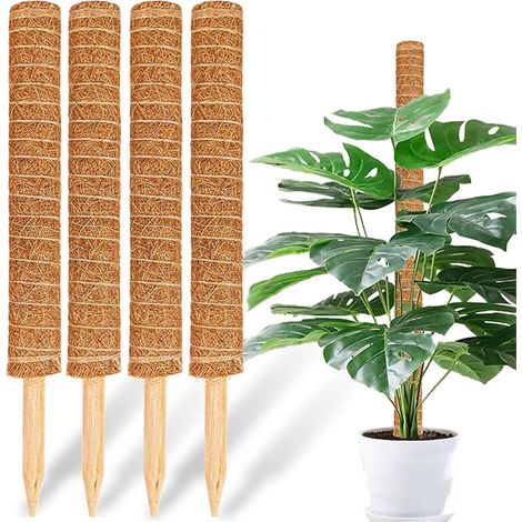 Lot de 4 tuteurs pour plantes grimpantes, Piquets de soutien empilables – Idéaux pour plantes d‘intérieur (monstera, pothos, philodendron) – Support réglable en hauteur – Tiges modulables (1/5)
