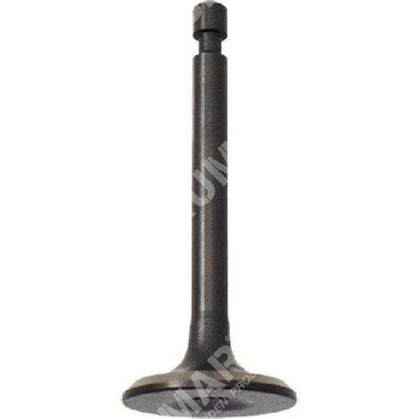 Einlassventil für DUCAR-Motorpumpen - 049580