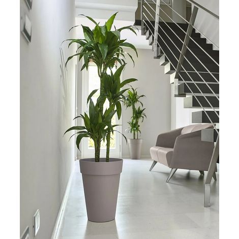 LIKEN - VASO ALTO-SABBIA / 27 cm con fori