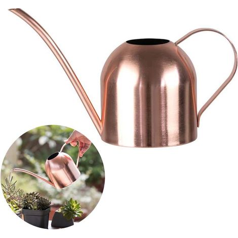 Gießkanne aus Edelstahl – kleine Gießkanne mit langem Hals für Zuhause, drinnen und draußen, Garten, Sukkulenten – 500 ml (Roségold)