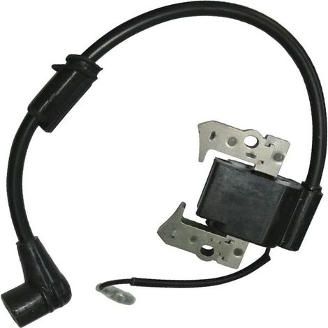 Kit bobina di accensione ad alta tensione compatibile con motore Subaru Robin EC08 - ALTRO (1/2)