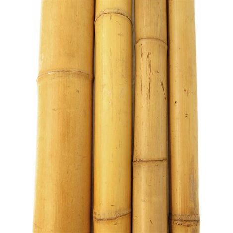 Bambusrohr 180 cm Ø 6/8 cm Pflanzstab