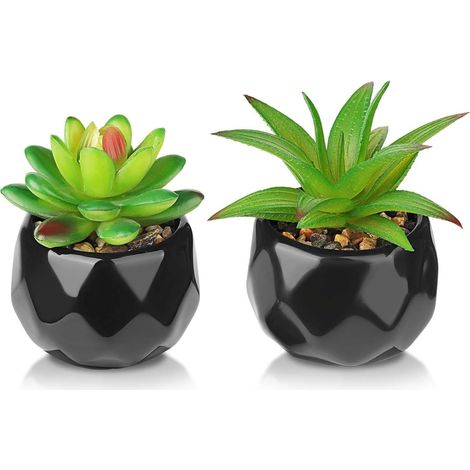 Lot de 2 plantes succulentes artificielles, plantes décoratives (1/5)