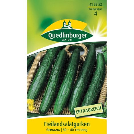 Quedlinburger Salatgurke Gergana - Gemüsesamen (1/2)