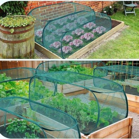 Housse de protection en maille - - Grande protection anti-insectes - Armature métallique - Anti-pucerons (1/5)