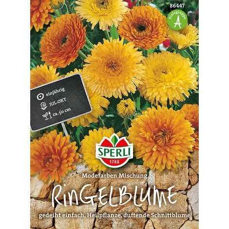 Sperli – Souci en mélange de couleurs tendance – Graines de fleurs, annuel, 50 cm (1/2)