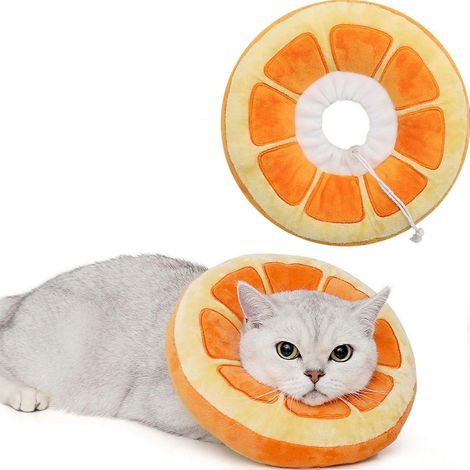 Collier conique ajustable pour chat, doux et mignon, pour la convalescence des chatons après une opération. (1/4)