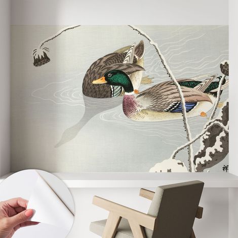 Papier peint adhésif avec colle pour décoration moderne de salon chambre à coucher cuisine et bureau Facile Canards paisibles 104x70 cm (1/5)