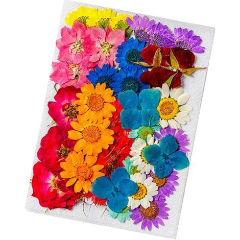 36 getrocknete Blumen in verschiedenen Formen und Farben, aus Naturmaterialien. Vielseitig einsetzbar für Dekoration und Bastelarbeiten. (1/5)