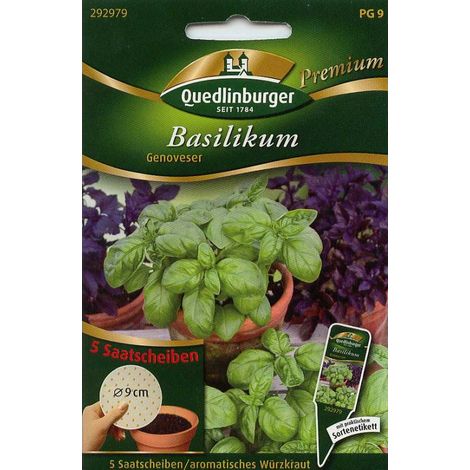 Quedlinburger Basilikum Genoveser Saatscheiben - Premium Kräutersamen (1/2)