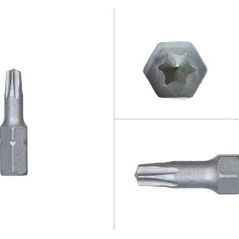 Torx Bits TX20 25mm - Pro 10 Stück