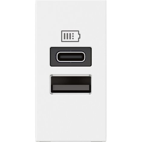 Legrand – Chargeur USB Type-A et Type-C 3A 15W – 2 modules blanc pour installation encastrée – IP44 pour boîtes de sol standards (1/3)